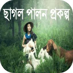 ছাগল পালন প্রকল্প 0.0.1