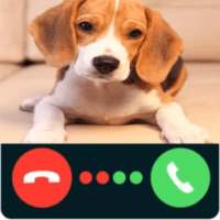 Fake Call Dog Caller