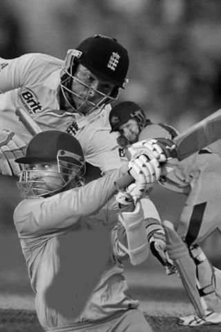 Cricket HD T20 screenshot 2