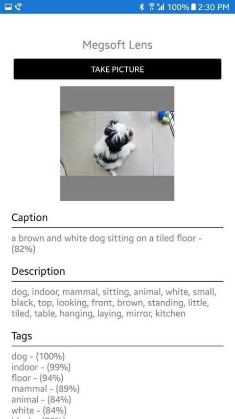 Megsoft AI Lens screenshot 2