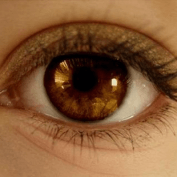 Brown Eye иконка