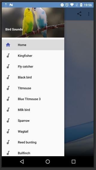 Bird Sounds 3 تصوير الشاشة