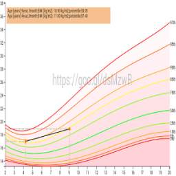 Growth Chart CDC WHO Percentil
