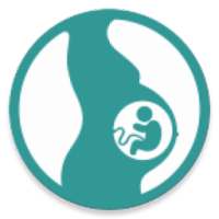 ikon Pregnancy Wheel