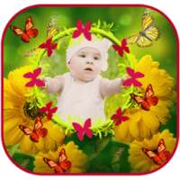 Butterfly Photo Frames on 9Apps