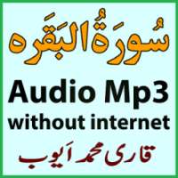 My Surah Baqrah Audio M Ayub on 9Apps