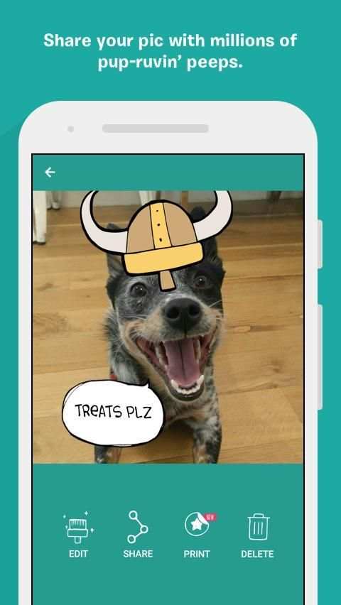 BarkCam скриншот 2