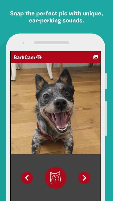 BarkCam скриншот 6