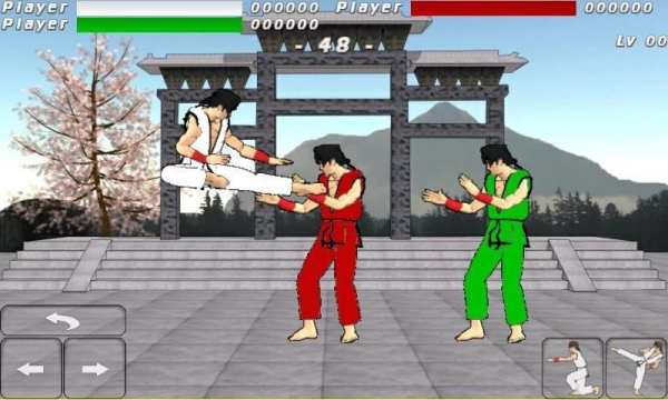 Final Karate (free) скриншот 2