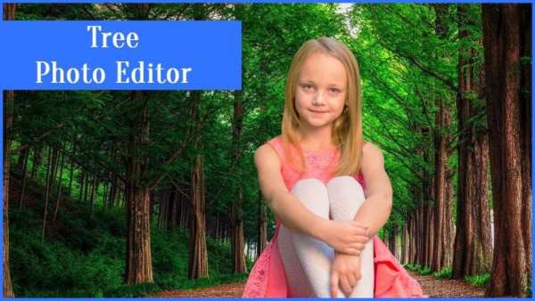 Tree Photo Editor screenshot 1