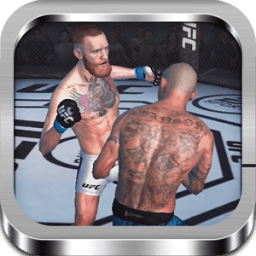 ikon Guide For UFC Game Advanced