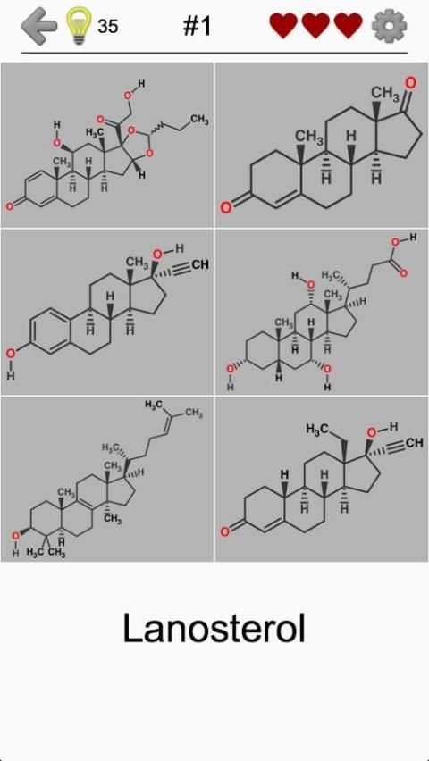Steroids: Chemical Formulas of Hormones and Lipids screenshot 1