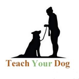Teach Your Dog - TYD