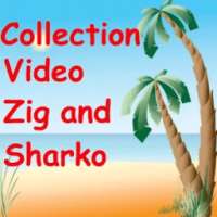 Collection Video Zig and Sharko on 9Apps
