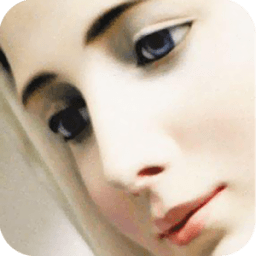 Virgin Mary Photo Gallery иконка