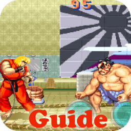 ikon Guide for Street Fighter