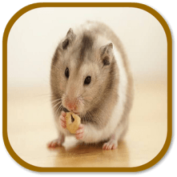 Hamster Sounds أيقونة