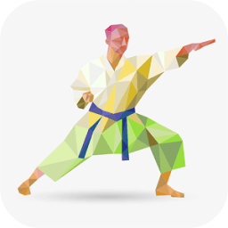 ikon Martial Arts Training
