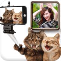 Funny Photo Frames on 9Apps