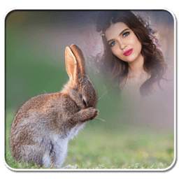 Animal Photo Frames 1.0