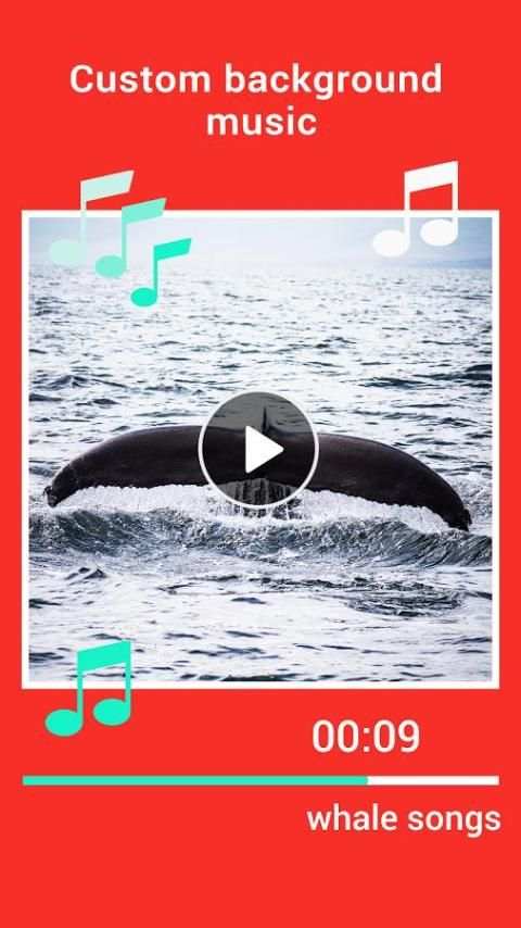 Video editor for instagram screenshot 1