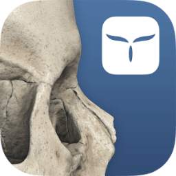 AppSurgeOn - 3D Skull Atlas