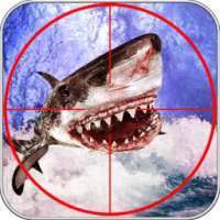 Dunkrik Hungry Shark Shooting Evolution 3D
