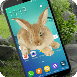 Rabbits in Phone Prank أيقونة