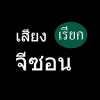 จีซอน