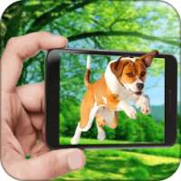 Dog In Phone Screen Prank