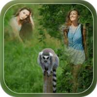 Transparent Wild Animal Photo Frame - Multi Photos