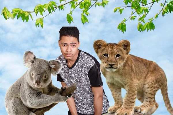 Wild Animals Photo Editor screenshot 6