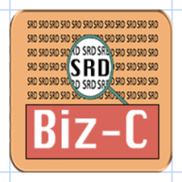 Biz-Connect 2018 иконка