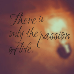 Passion Quotes Wallpapers आइकन