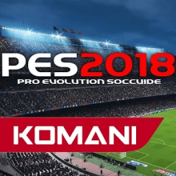 ikon GUIDE PES 2018