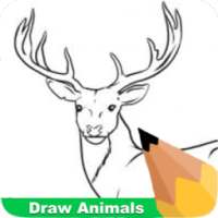 How To Draw Animals