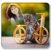 Cat Photo Frames on 9Apps