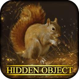 Hidden Object: Forest Friends Adventure