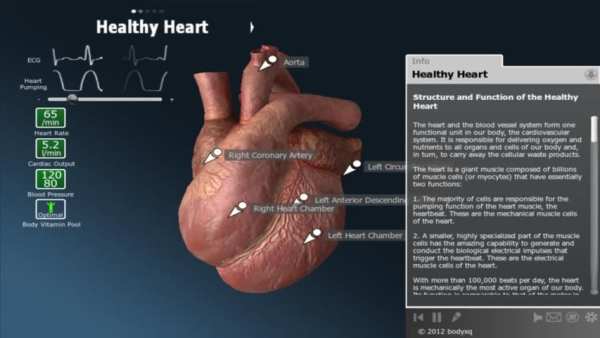 bodyxq heart скриншот 8
