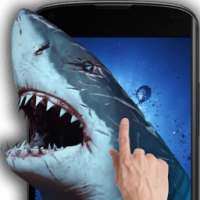 Shark Attack Live Wallpaper