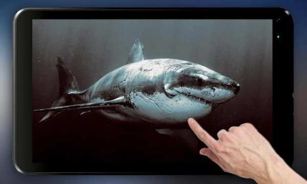 Shark Attack Live Wallpaper स्क्रीनशॉट 2