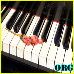 ikon Electronic ORG 2017