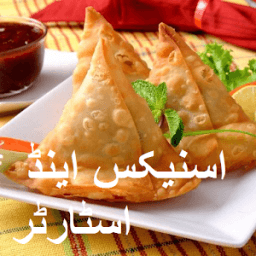 Appetizer And Snack Recipes in Urdu иконка
