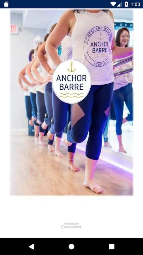 Anchor Barre screenshot 3
