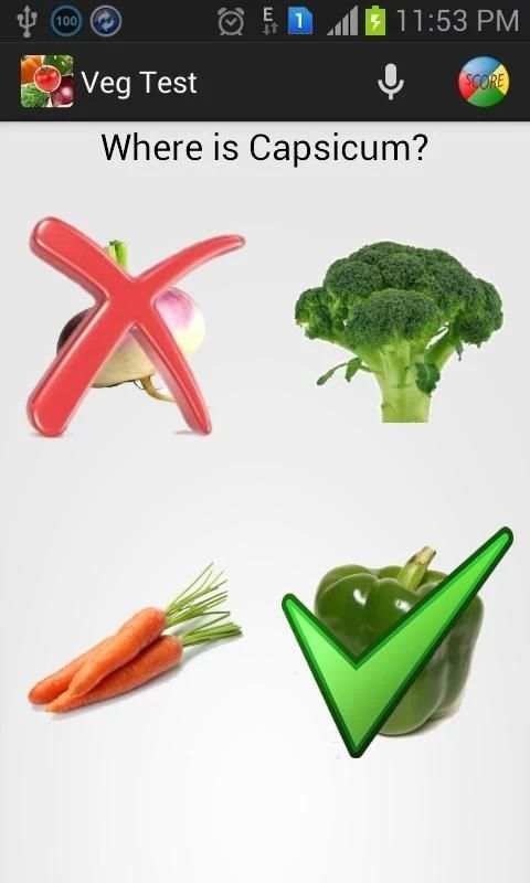 Kids Learn Vegetable Game screenshot 4