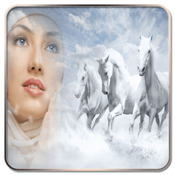 Wild Animal Photo Montage आइकन