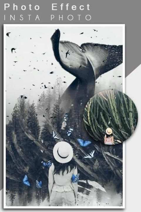 Picart скриншот 4