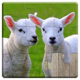 Animals Jigsaw Puzzles Kids *