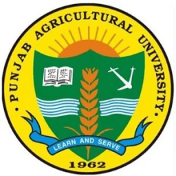 PAU Attendance System आइकन