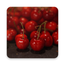 Gardan Photo Editor أيقونة